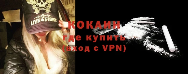 спайс Гусь-Хрустальный
