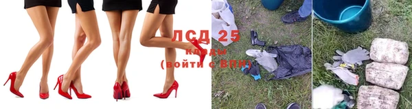 спайс Гусь-Хрустальный