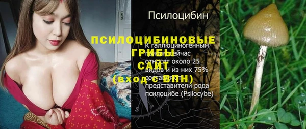 спайс Гусь-Хрустальный