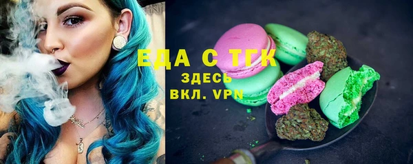спайс Гусь-Хрустальный