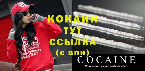 спайс Гусь-Хрустальный