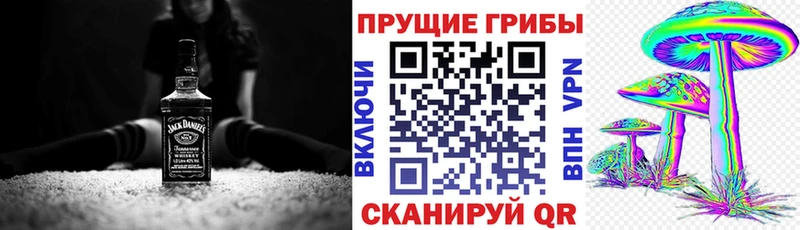 Галлюциногенные грибы GOLDEN TEACHER  Купить  Донецк 
