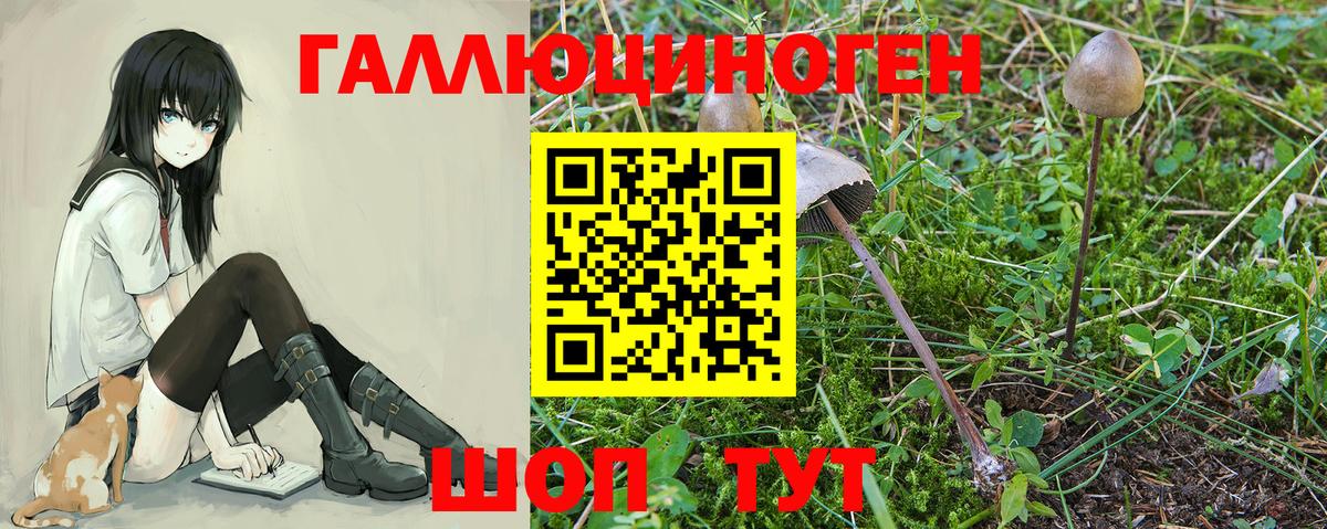 магазин  наркотиков  Галлюциногенные грибы Psilocybe  Донецк  Вход с VPN  Галлюциногенные грибы Psilocybe 