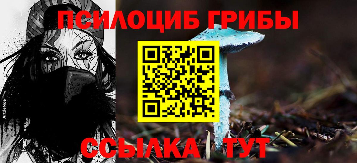Галлюциногенные грибы Psilocybe  Донецк 