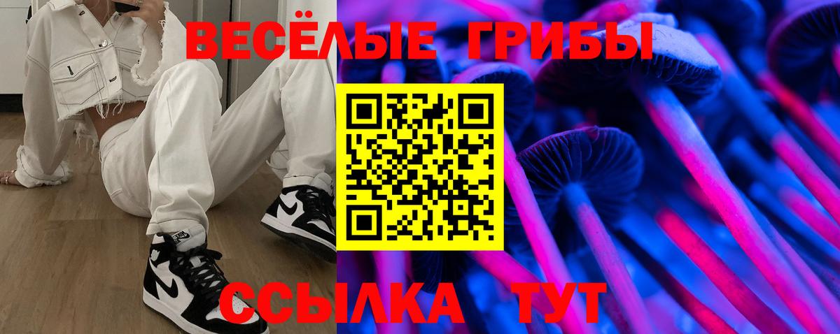 Псилоцибиновые грибы прущие грибы Донецк